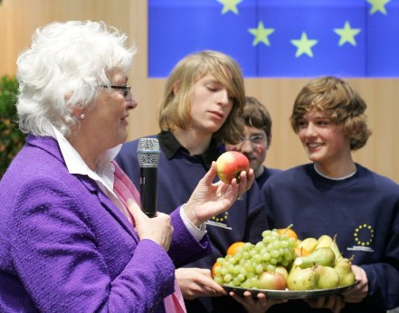 Mariann Fischer Boel, Comissària d'Agricultura