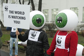 Foto: WWF/Adena