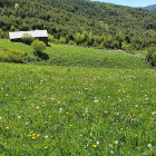 sostenibilitat, Pirineu, prat, vegetació, clima, canvi climàtic, muntanya