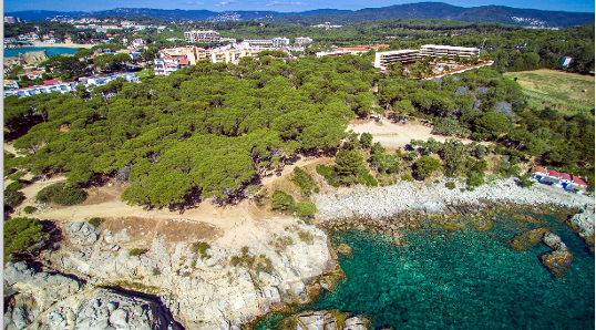 Foto aèria de La Pineda d'En Gori (ACN)