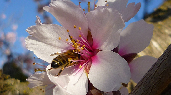 Fotografia:  calafellvalo a Flickr