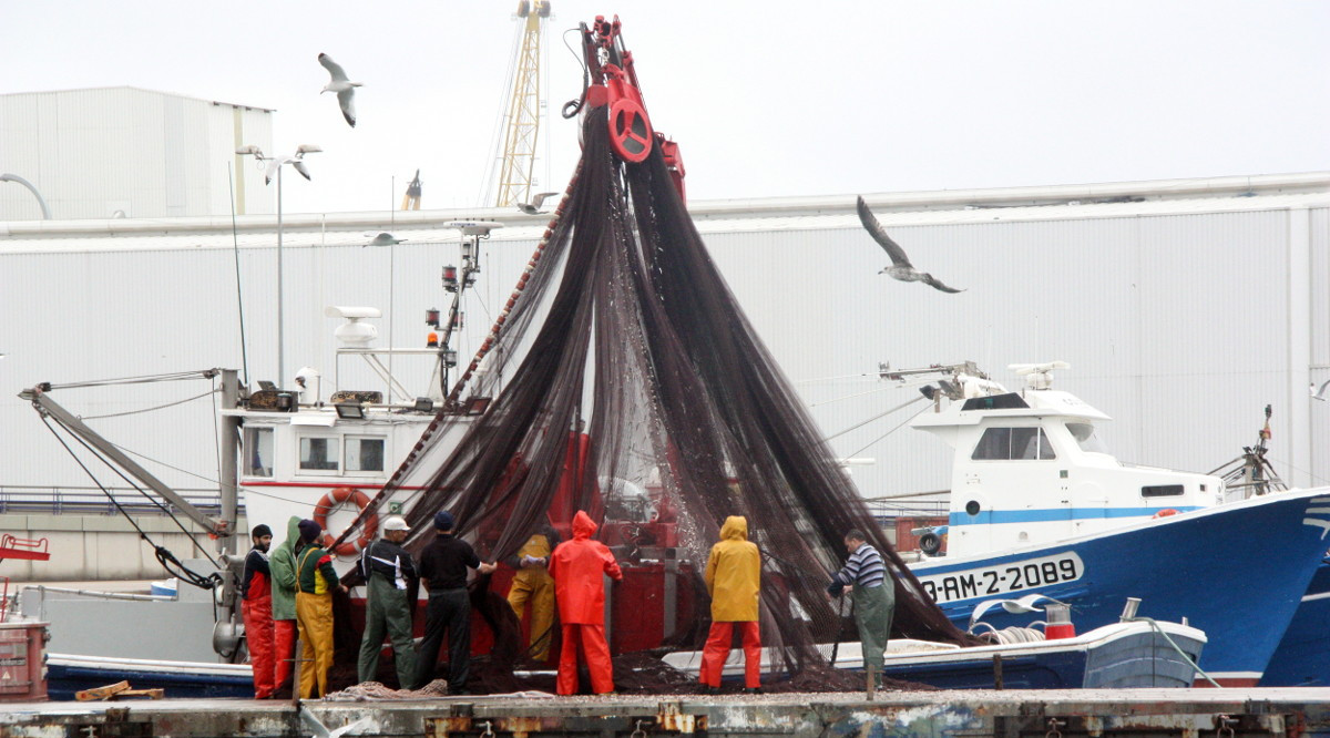 Uns mariners mouen les xarxes per recollir el peix blau capturat. Roger Segura (ACN)