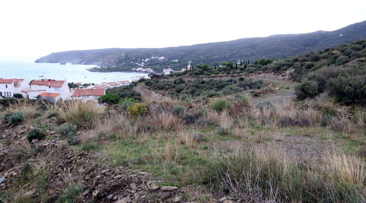 Paisatge de la Costa Brava. Gemma Tubert (ACN)