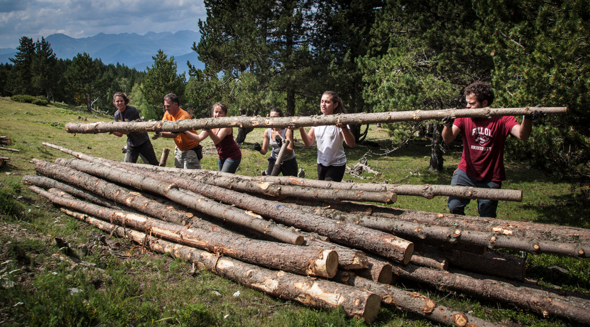 Diversos membres de la iniciativa per la gestió forestal sostenible. Projecte Boscos de Muntanya