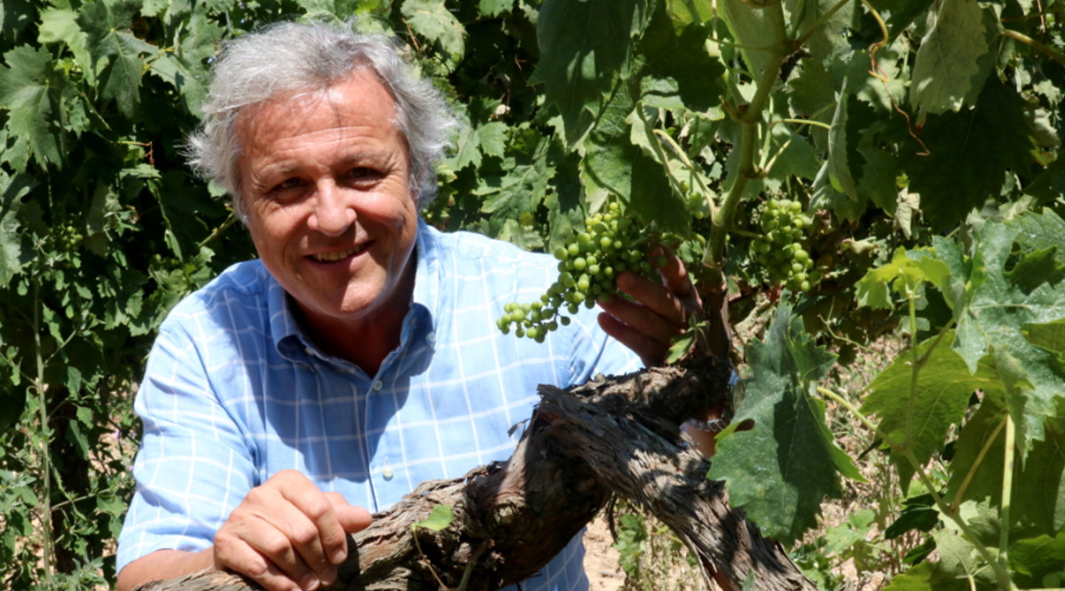 Un representant de DO Penedès. ACN