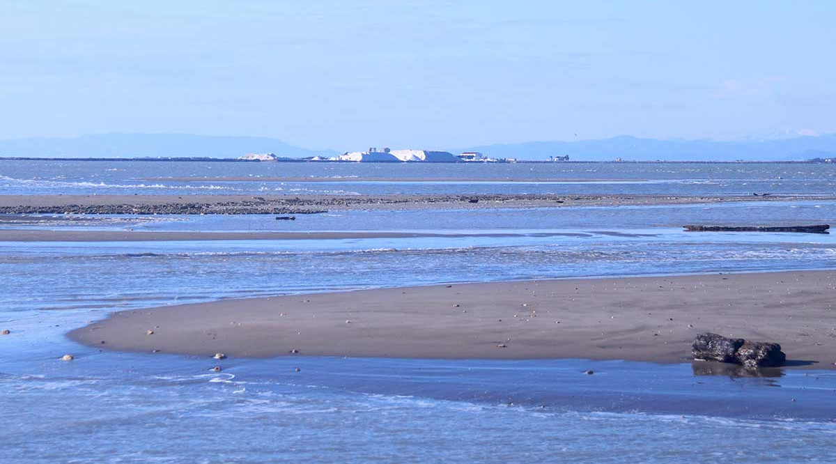 Diferents trencaments de l'istme del Trabucador i les salines al fons. Jordi Marsal (ACN)