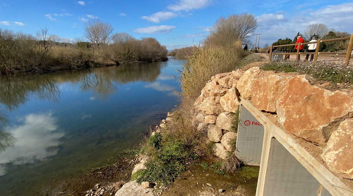 La mota del Ter a Torroella de Montgrí. Marina López (ACN)