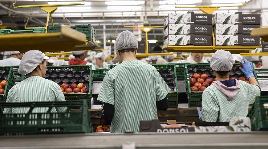 S'estima que la distribució de cadena llarga malbarata 60 milions de tones de productes alimentaris cada any a Europa. ACN