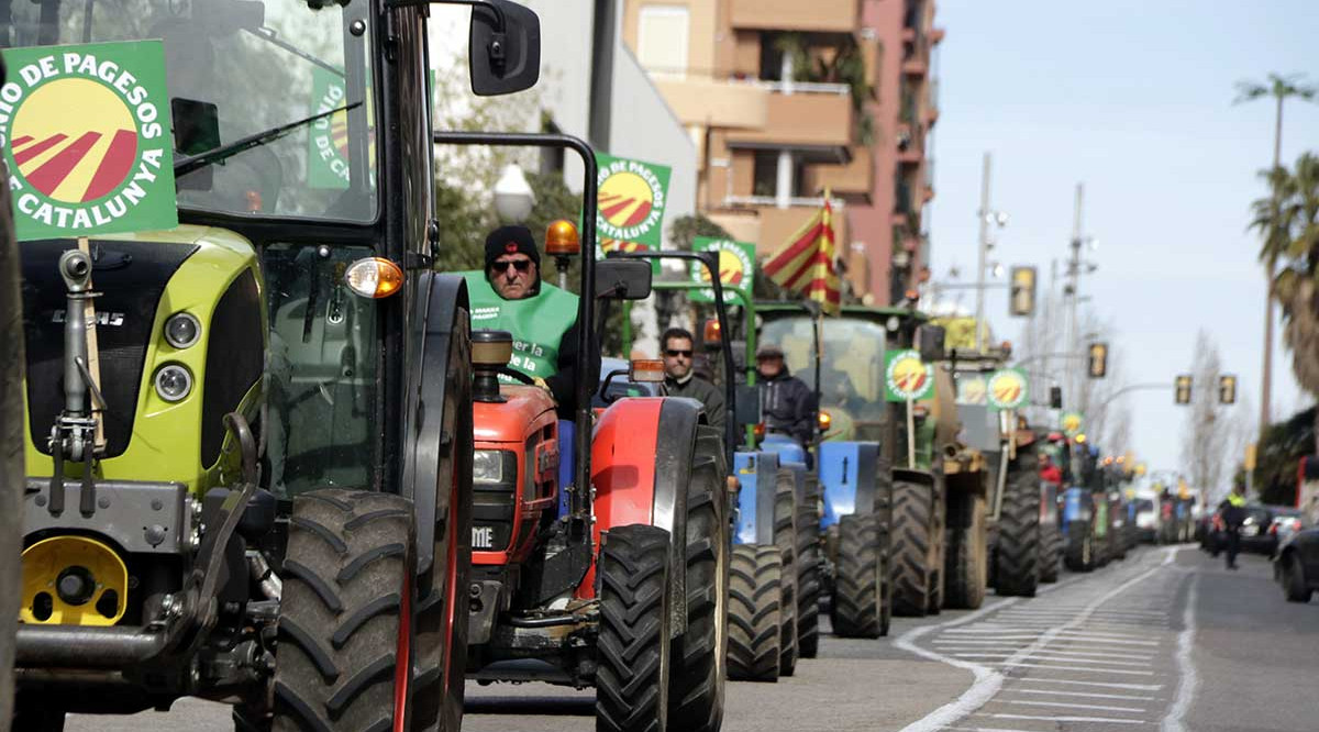 Una filera de tractors a Tarragona, en el marc d'una protesta pel futur de la pagesia. Roger Segura (ACN)